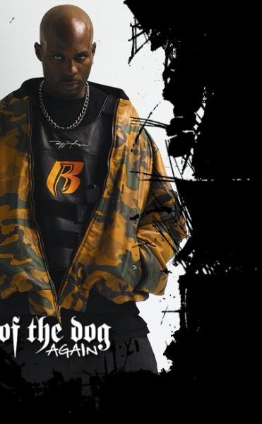  this's dmx